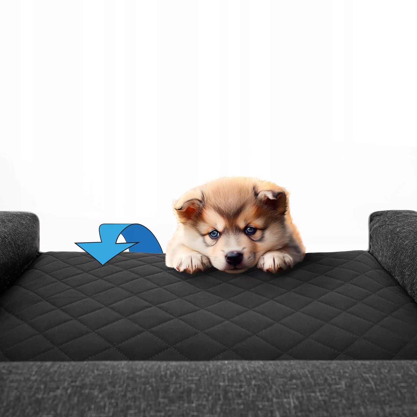 Šuns lova, Sofa Vandeniui atspari Nuimamas užvalkalas XL 100x65 cm