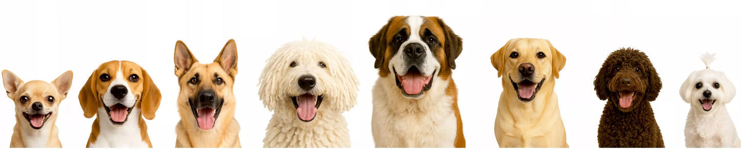 Šunų guolis - Lovelė vidutinio dydžio šuniui 94x75 cm - Nuimamas čiužinys