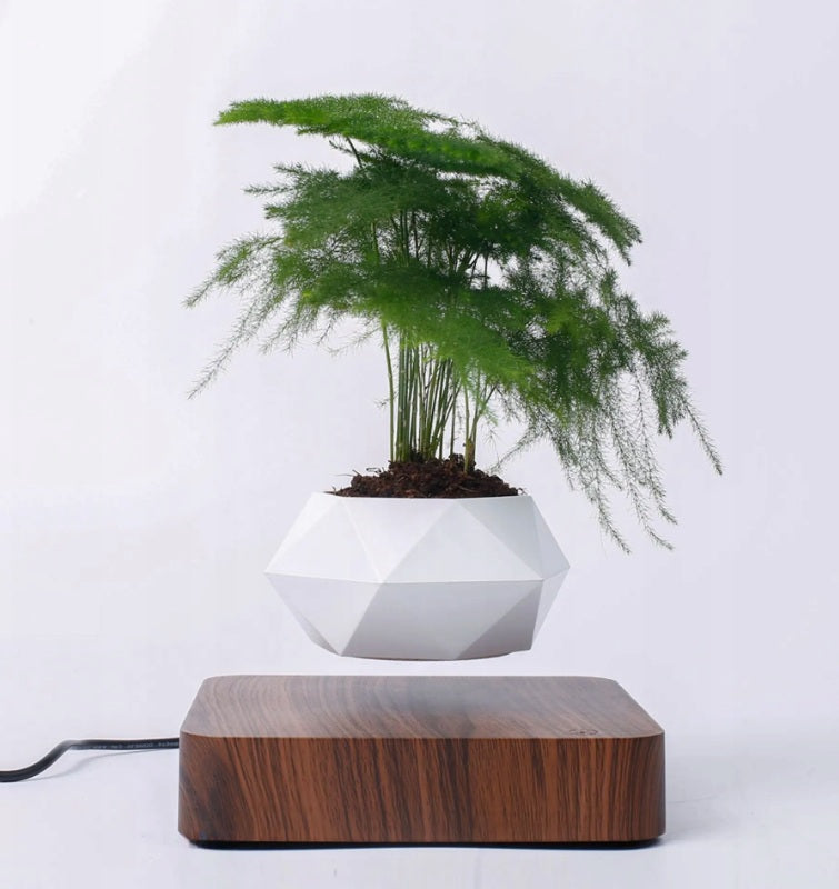 Levituojantis vazonas su magnetine baze