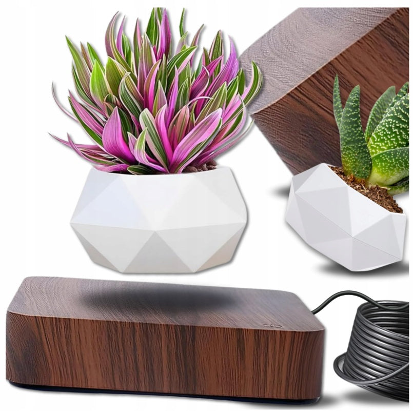 Levituojantis vazonas su magnetine baze