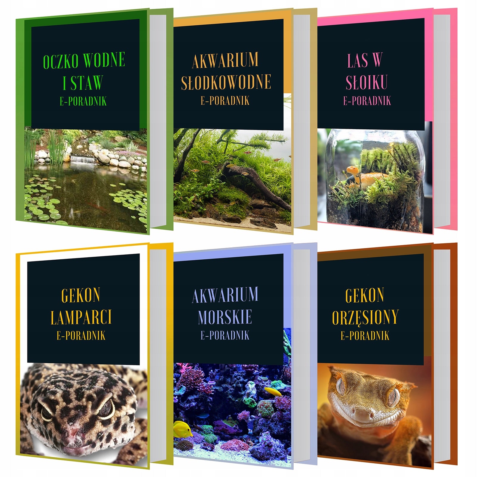 MAŽAS AKVARIUMAS SU ĮRANGA FILTRAS SU AERATORIUMI + APŠVIETIMAS 3L