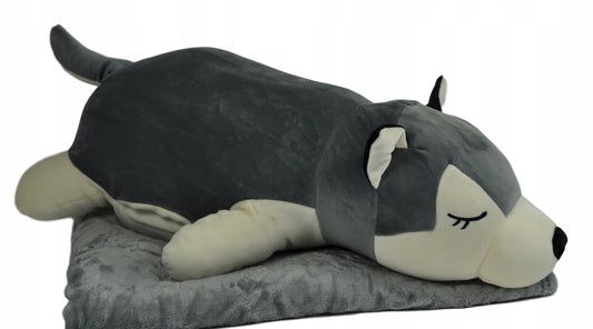 Haskio šuo pliušinis žaislas - pagalvė, 3in1 rinkinys, didelis minkštas žaislas su antklode