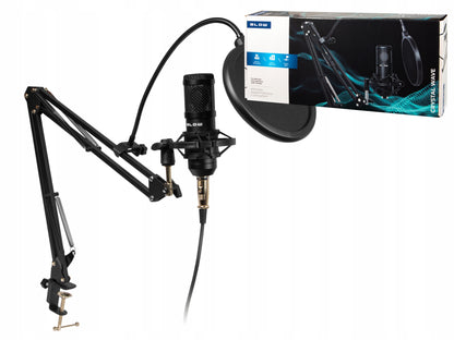 Kompiuterinis žaidimų kondensatorinis studijinis mikrofonas su stovu, USB rinkinys