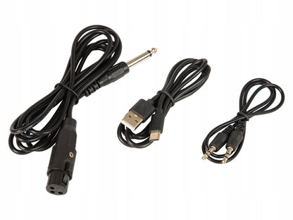 Galingas Bluetooth garsiakalbis Nešiojamas Boombox su mikrofonu, nuotolinio valdymo pulteliu, USB, SD, FM, KARAOKE