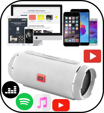 Galingas Bluetooth garsiakalbis USB SD Nešiojamas Belaidis Radijas Bokštas Boombox