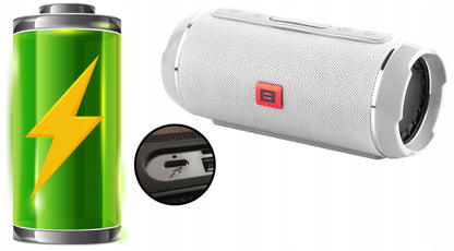 Galingas Bluetooth garsiakalbis USB SD Nešiojamas Belaidis Radijas Bokštas Boombox