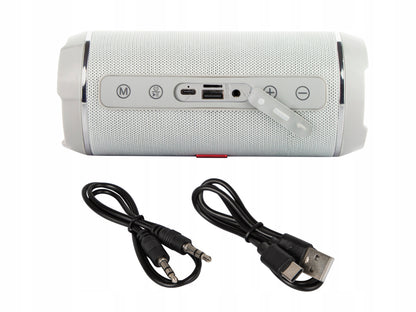 Galingas Bluetooth garsiakalbis USB SD Nešiojamas Belaidis Radijas Bokštas Boombox