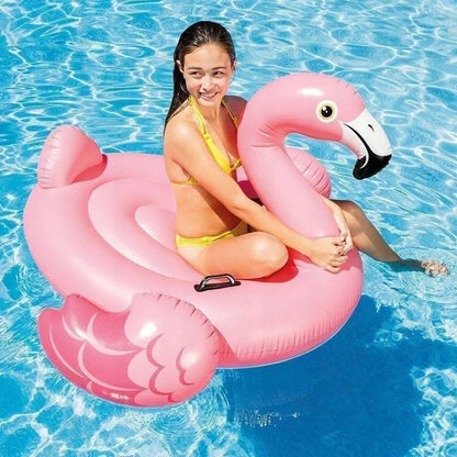 Pripušiamas plaustas flamingas