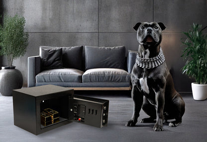 Metalinis seifas su skaitmenine spyna