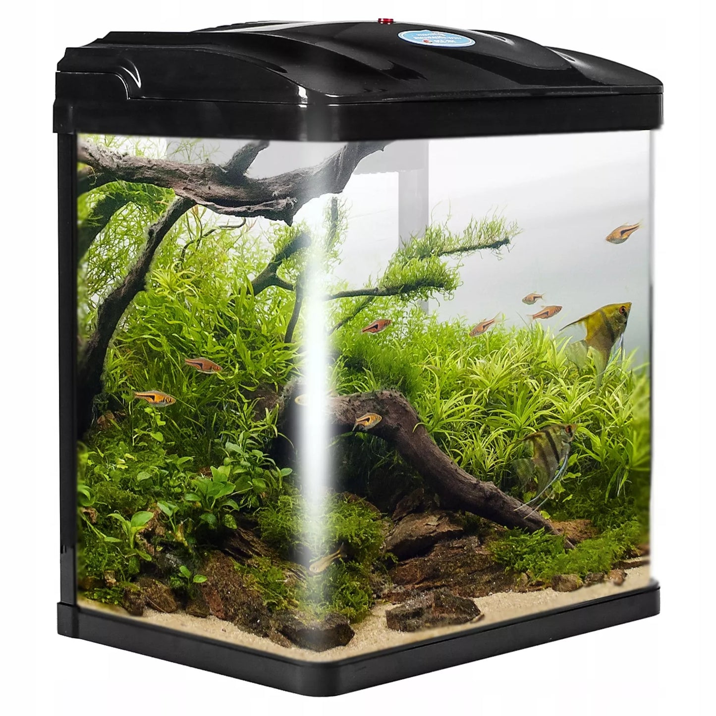 SunSun akvario sistema 19 l – elegantiškas juodas dizainas