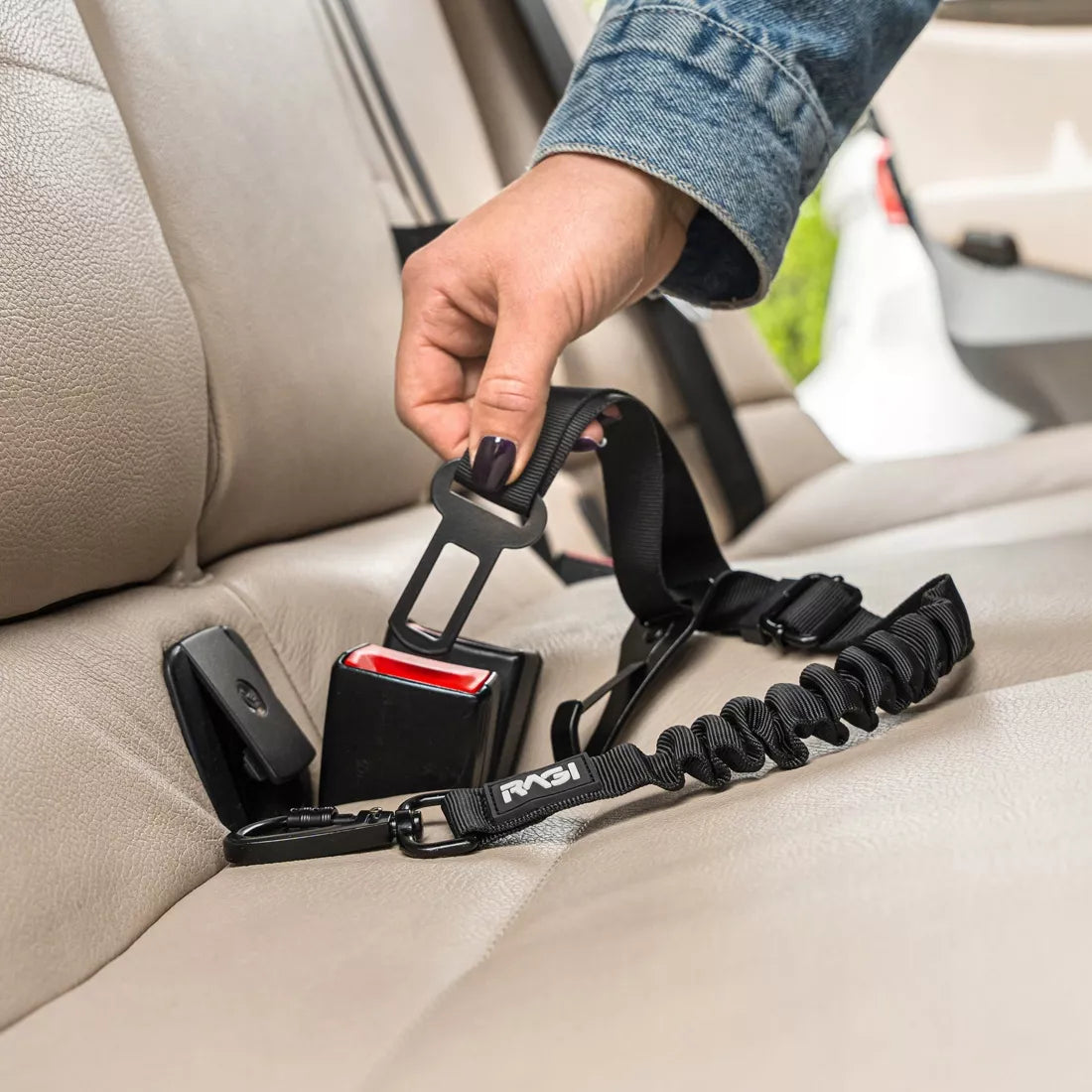 Saugos dirželis šuniukui ir katei ISOFIX 2 in 1 automobiliui