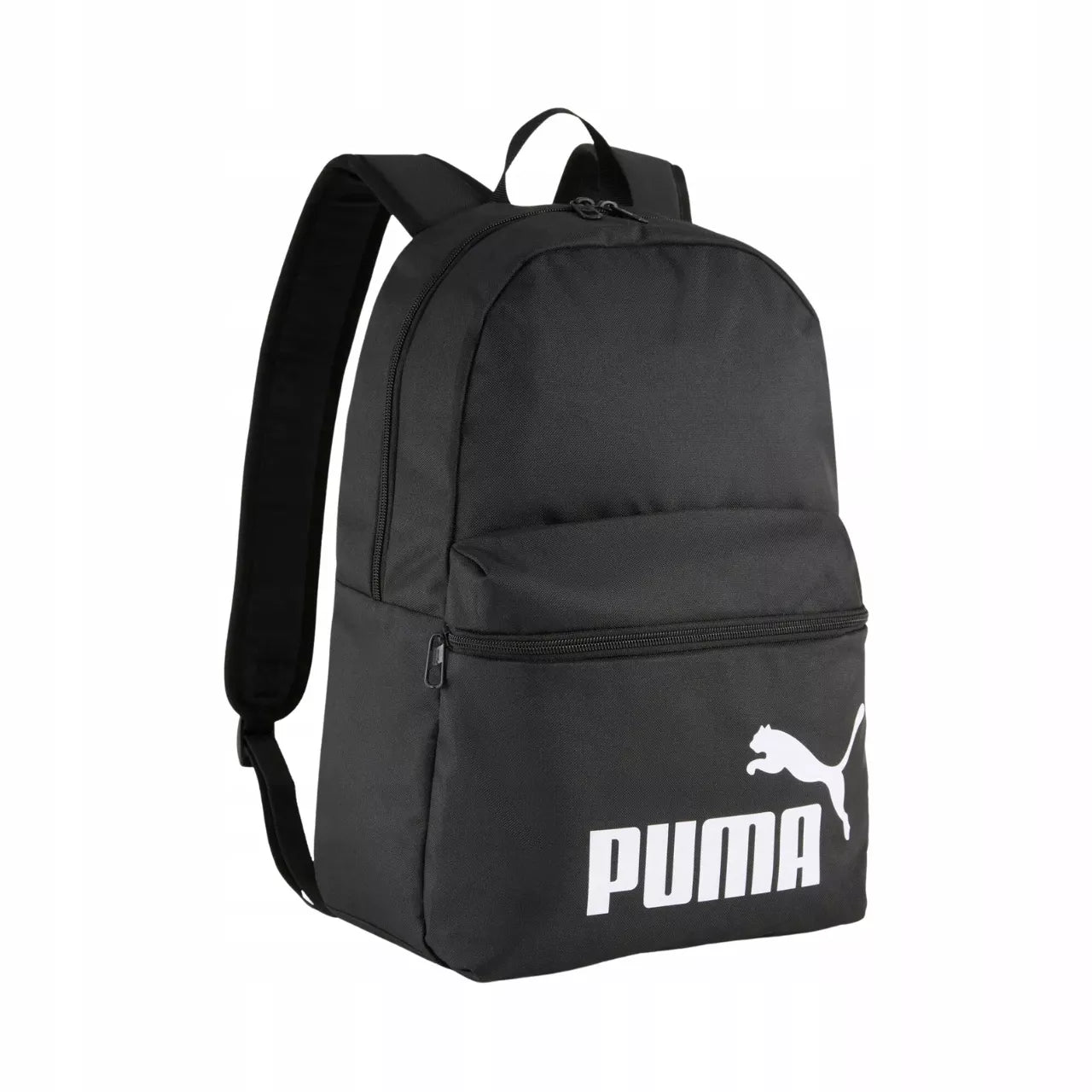 Kuprinė puma
