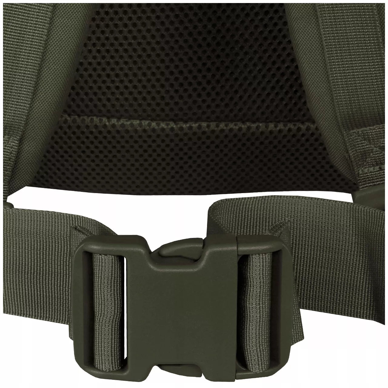 MIL-TEC ASSAULT TAKTINĖ KARINĖ KUPRINĖ TURISTINĖ OLIVE 36L