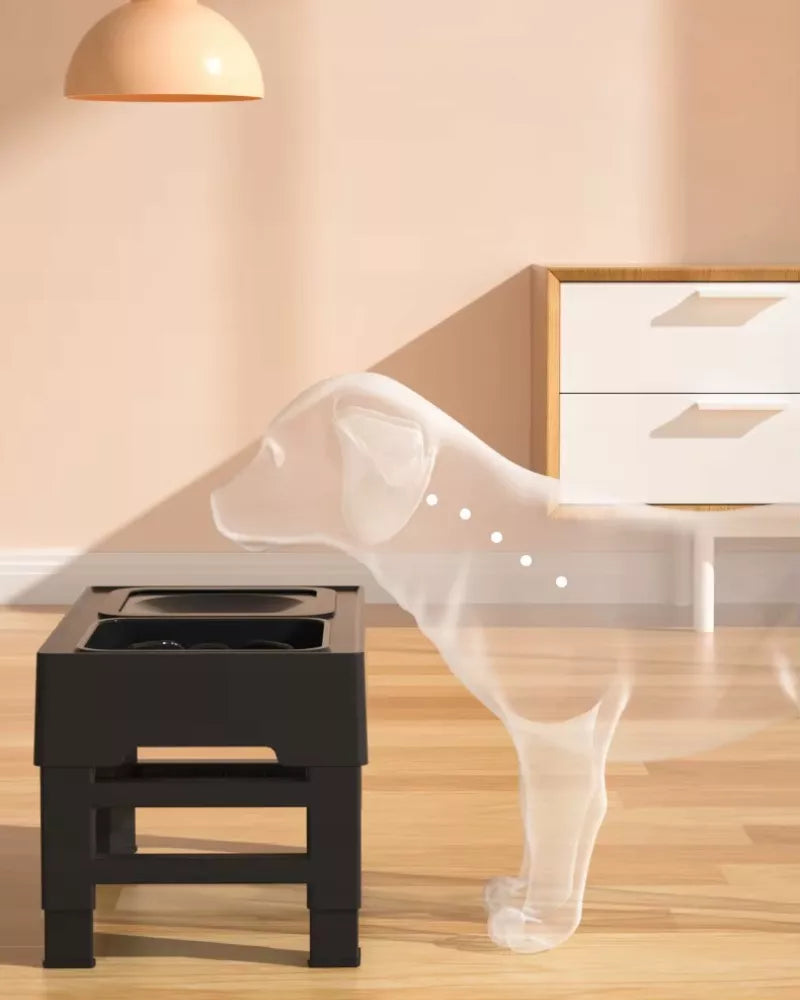 Reguliuojamo aukščio dvigubas šunų dubenėlis