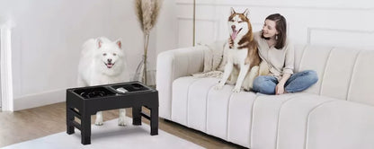 Reguliuojamo aukščio dvigubas šunų dubenėlis