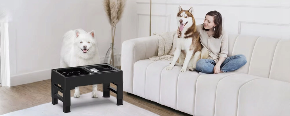 Dviguba šunų dubenėlio, nešlapinanti, sulėtinanti, reguliuojamo aukščio dubenėlio stovas