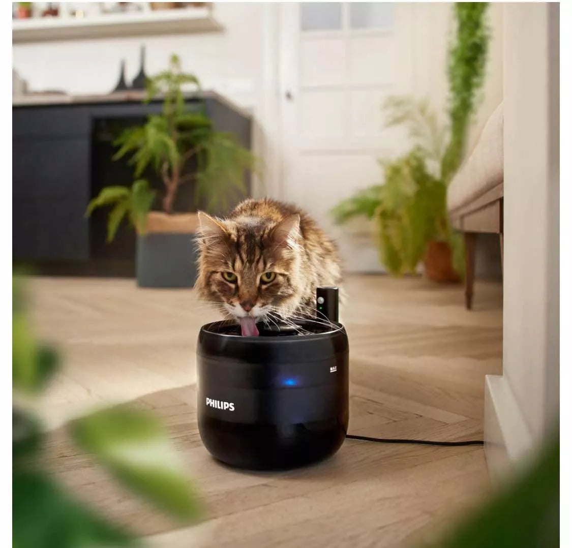 Automatinis gyvūnėlių fontanėlis-geriamasis vandens indelis katei 2,2