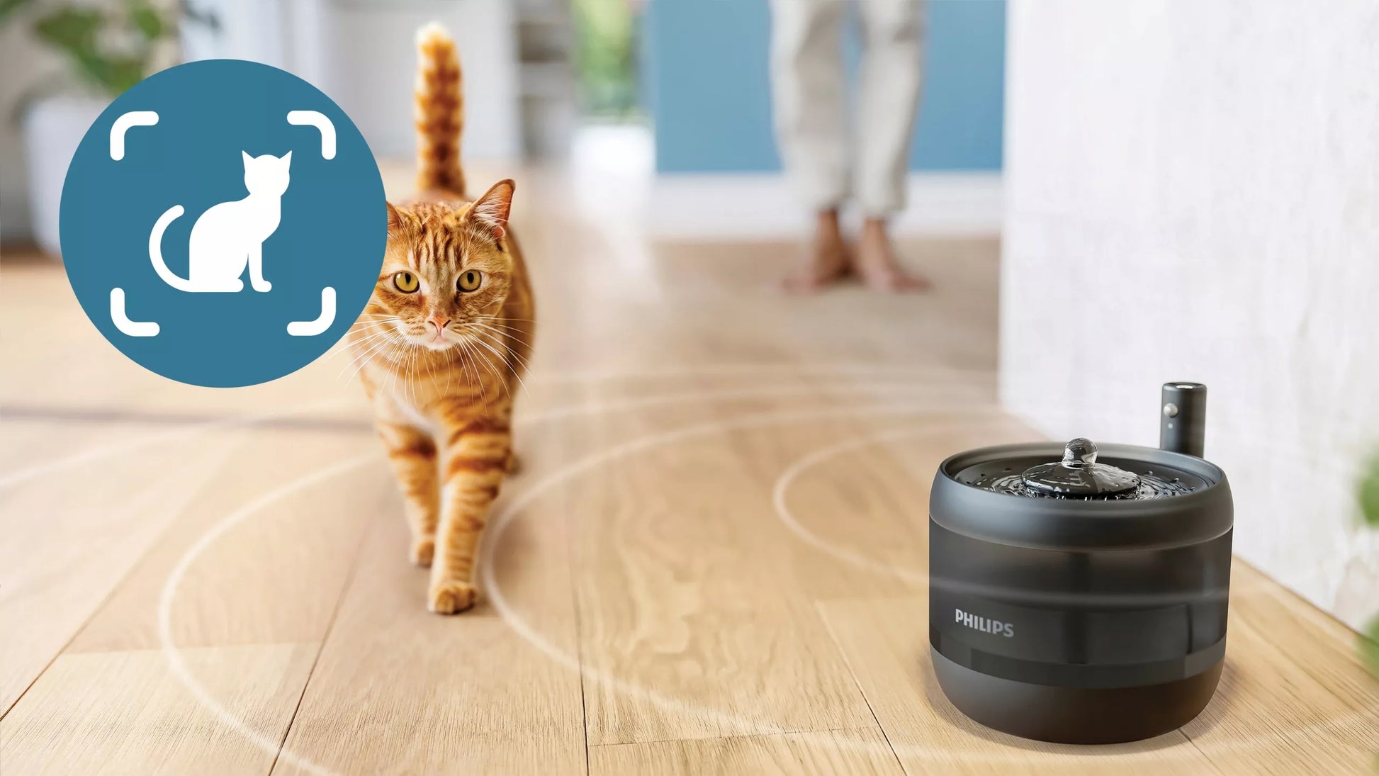 Automatinis gyvūnėlių fontanėlis-geriamasis vandens indelis katei 2,2