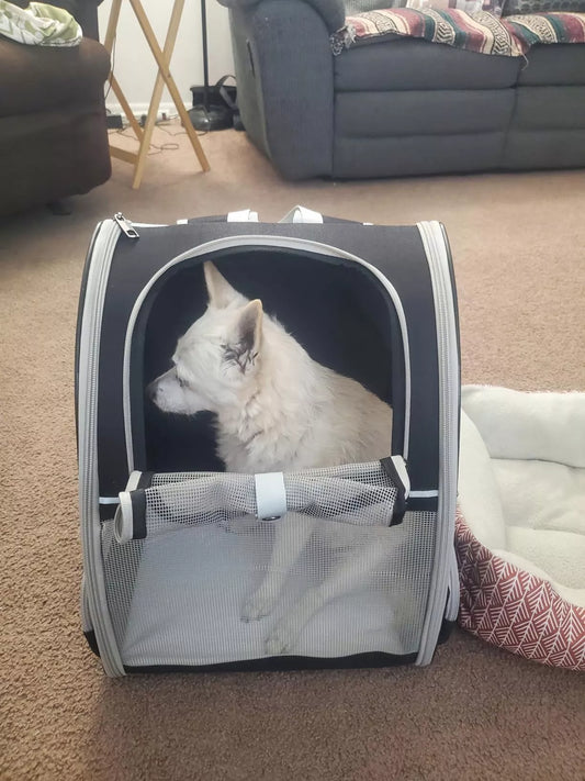 Airflow šuns kuprinė-transportavimo dėklas katei iki 9 kg 42x38x32