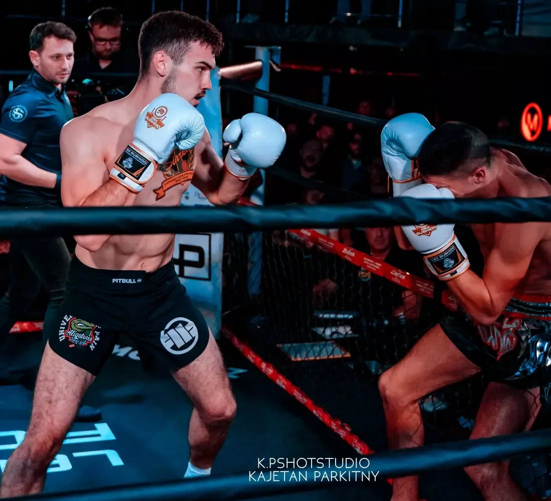 BESTSELLER universalios bokso pirštinės BOKSAS Kickboxing BUSHIDO 12 oz