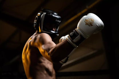 BESTSELLER universalios bokso pirštinės BOKSAS Kickboxing BUSHIDO 12 oz