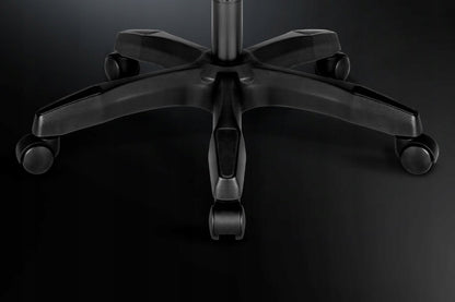 Reguliuojama minkšta kompiuterio ir žaidimų kėdė su LED RGB apšvietimu, kojų atrama ir nuotolinio valdymo pulteliu