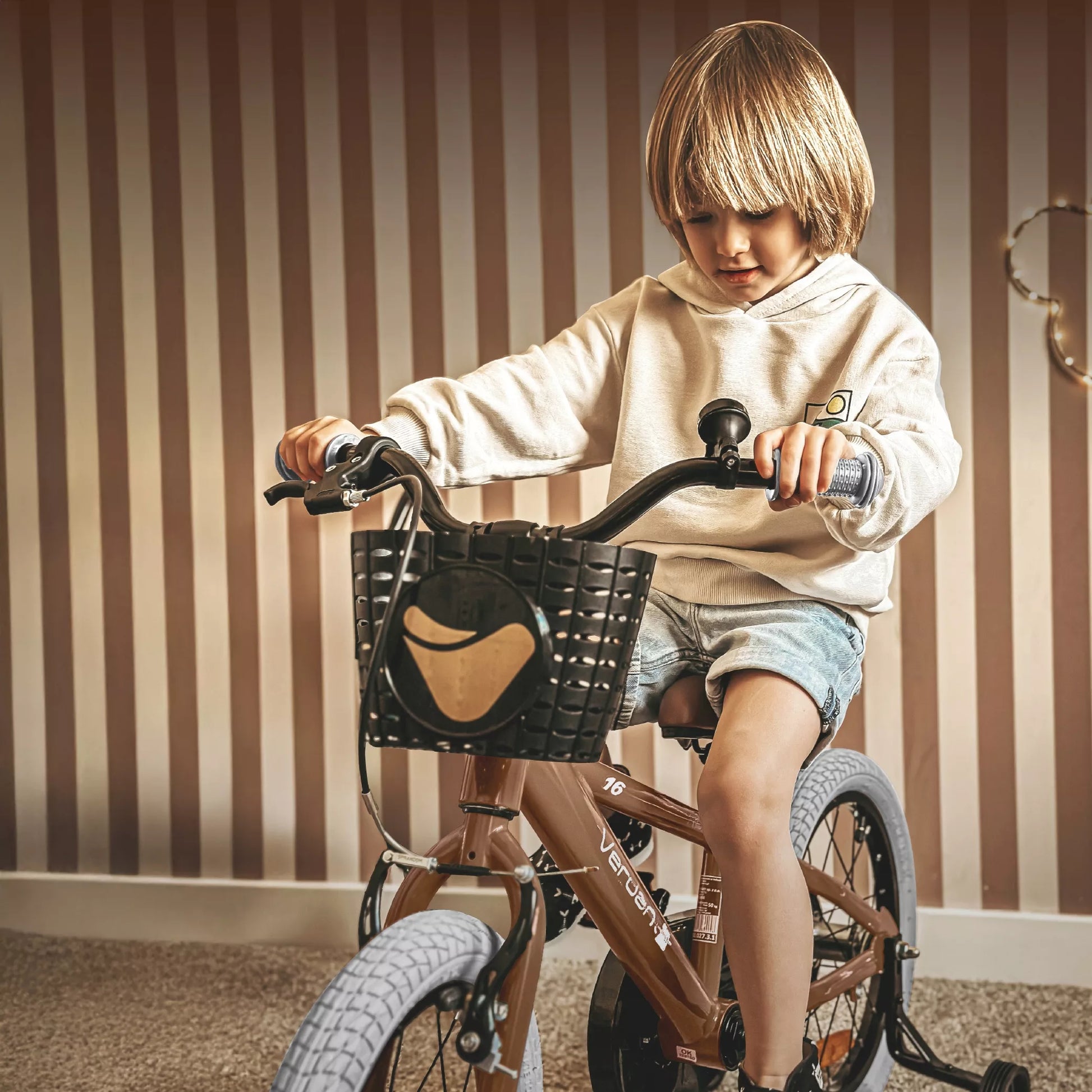 Vaikiškas dviratis 40 cm, su ratukais ir stūmimo rankena