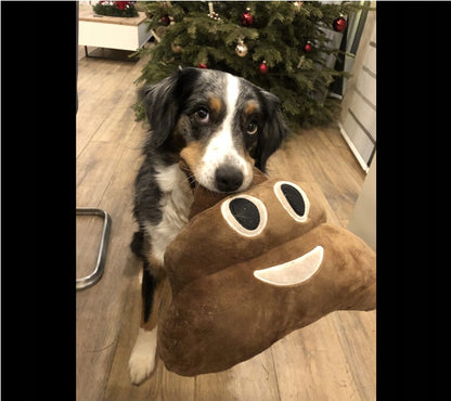 JUOKINGA KAKO "POOP" PAGALVĖLĖ 35 CM – "EMOTICONS"