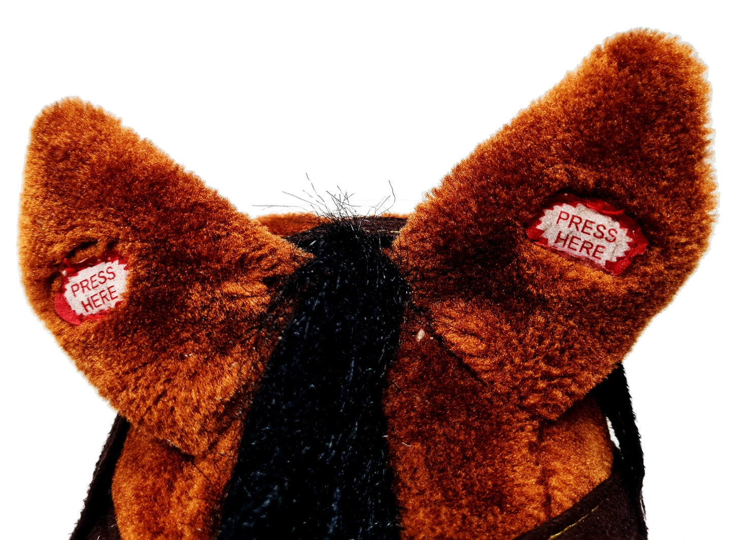 DAINUOJANTIS ARKLIUKAS ANT SVYPUOKLIŲ 74cm DIDELIS SVYPUOKLINIS ARKLIUKAS "Start Baby"