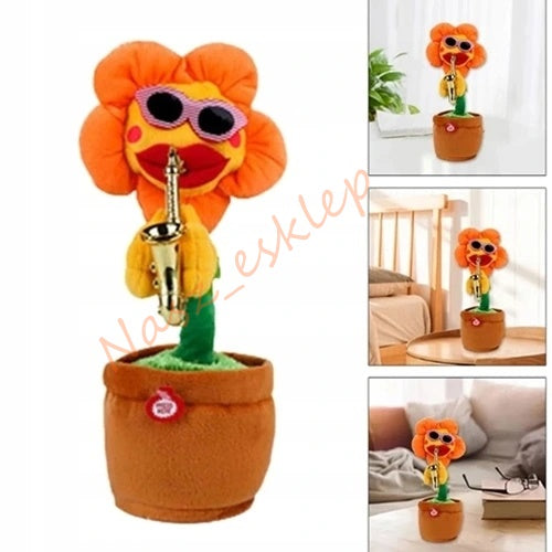 Dainuojanti šokanti saulėgrąžos gėlė, panaši į kaktusą