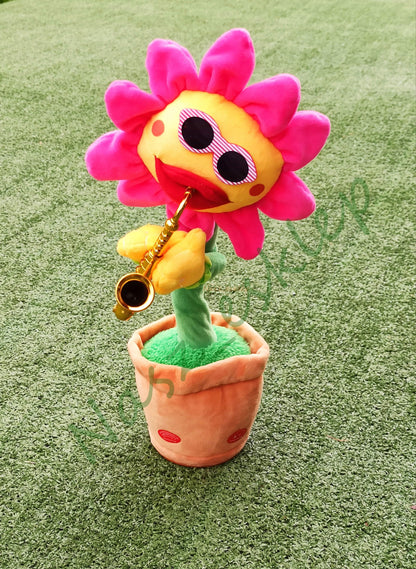 Dainuojanti šokanti saulėgrąžos gėlė, panaši į kaktusą