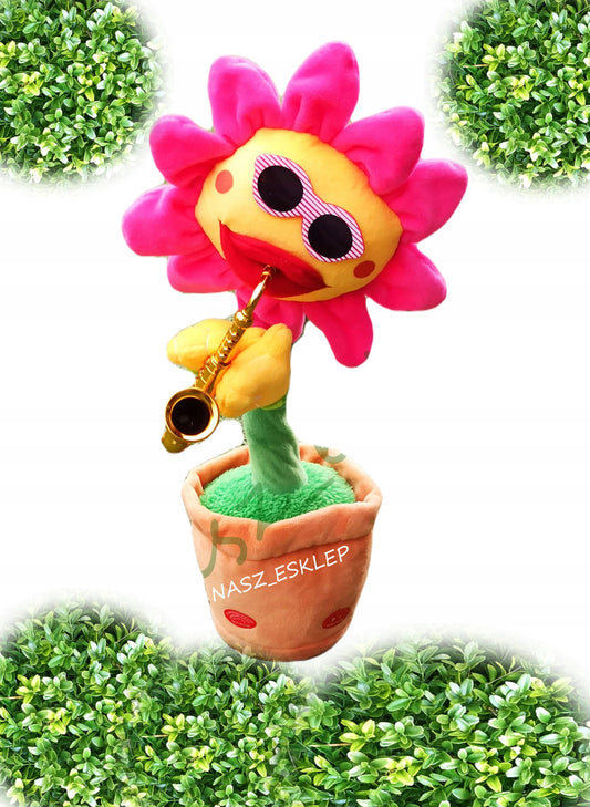 Dainuojanti šokanti saulėgrąžos gėlė, panaši į kaktusą