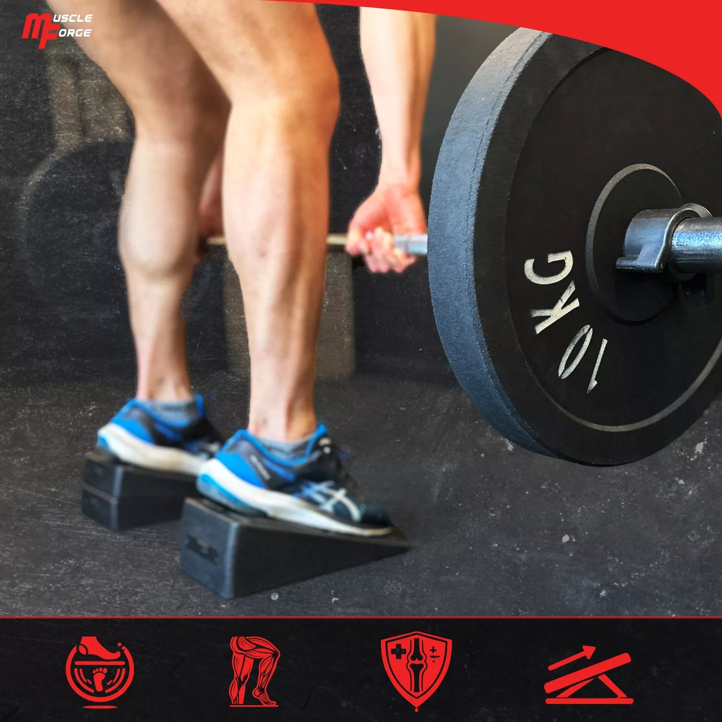 SQUAT WEDGE BLOCK BLOKAS FERMA SLANT BOARD KILAS TIESMASO TEMPTUVAS