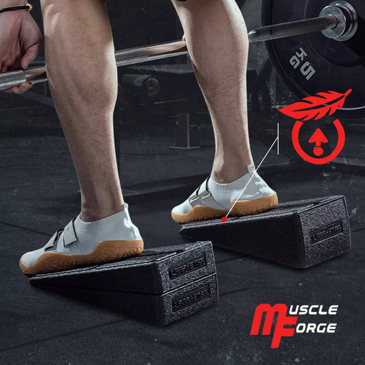 SQUAT WEDGE BLOCK BLOKAS FERMA SLANT BOARD KILAS TIESMASO TEMPTUVAS