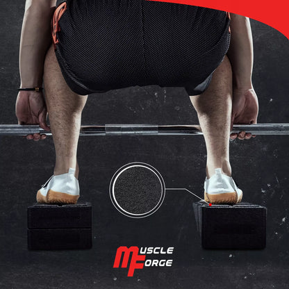 SQUAT WEDGE BLOCK BLOKAS FERMA SLANT BOARD KILAS TIESMASO TEMPTUVAS