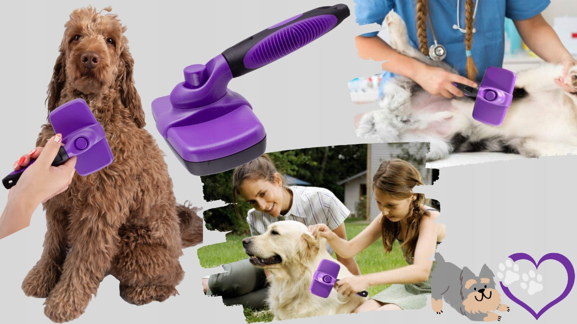 ŠUNŲ IR KALIŲ ŠUKOS – SAVO VALANČIOS ŠUKOS, GERAI IŠŠUKUOJA KAILĮ