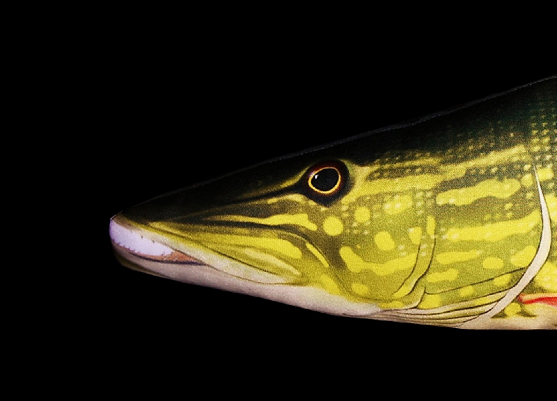 Lydeka 43 cm Pagalvėlė-Žaislas Žuvis, Kaip Gyva, Dovanai Gaby