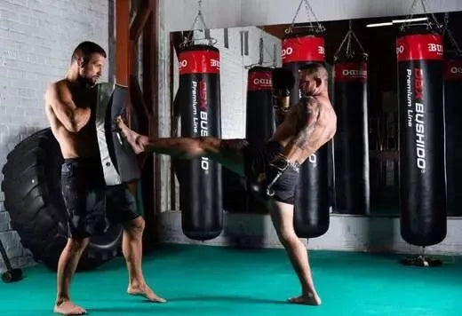 Profiluotas išlenktas treniruočių skydas Bushido