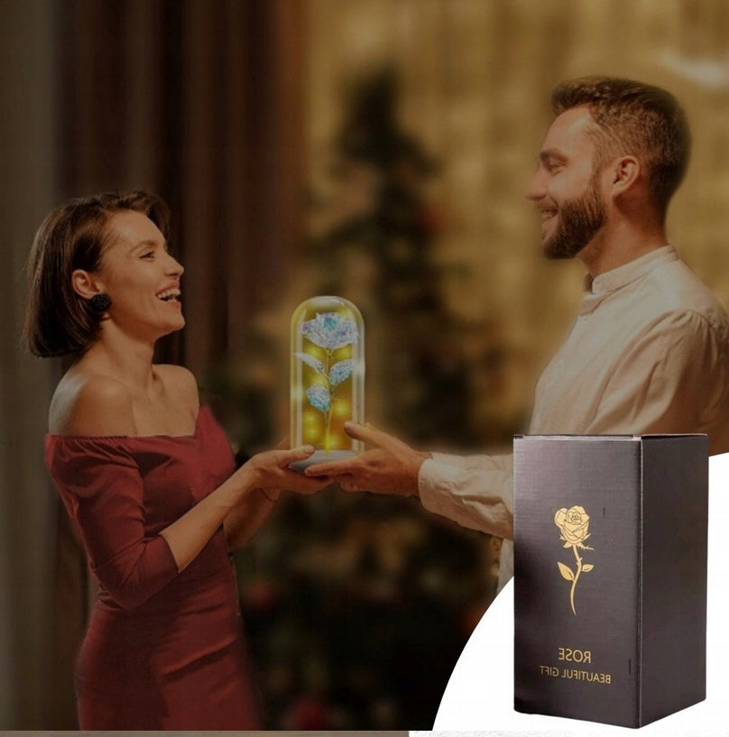 AMŽINA BALTA ROŽĖ STIKLINĖJE DANGTELIO FORMOS LED LEISTUVĖ, dovanų Valentino dienai