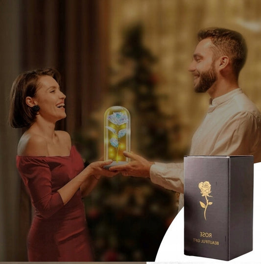 AMŽINA BALTA ROŽĖ STIKLINĖJE DANGTELIO FORMOS LED LEISTUVĖ, dovanų Valentino dienai