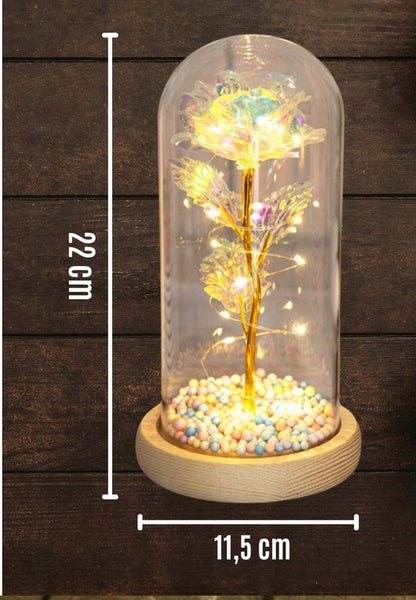 AMŽINA BALTA ROŽĖ STIKLINĖJE DANGTELIO FORMOS LED LEISTUVĖ, dovanų Valentino dienai