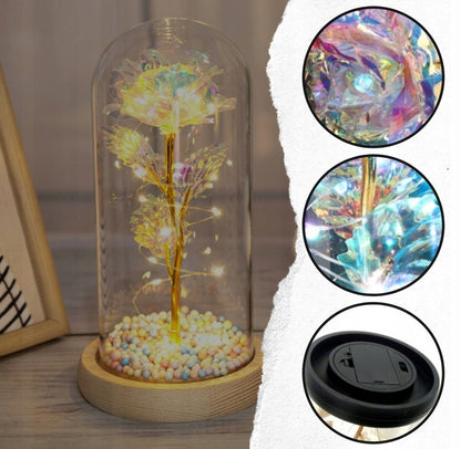 AMŽINA BALTA ROŽĖ STIKLINĖJE DANGTELIO FORMOS LED LEISTUVĖ, dovanų Valentino dienai