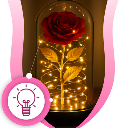 AMŽINA RAUDONA RAUDONA ROŽĖ STIKLINĖJE, ŠVIEČIANTI LED, DOVANA Valentino dienai, Moters dienai