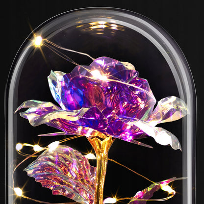Amžina Rožė Stiklinėje su LED – Violetinė Lemputė – Dovana Moteriai Niej Murrano
