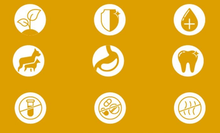 XL kietas elnio ragas 17-19 cm Natūralus kramtalas kramtalai iš ragų elnio ragų šuniui