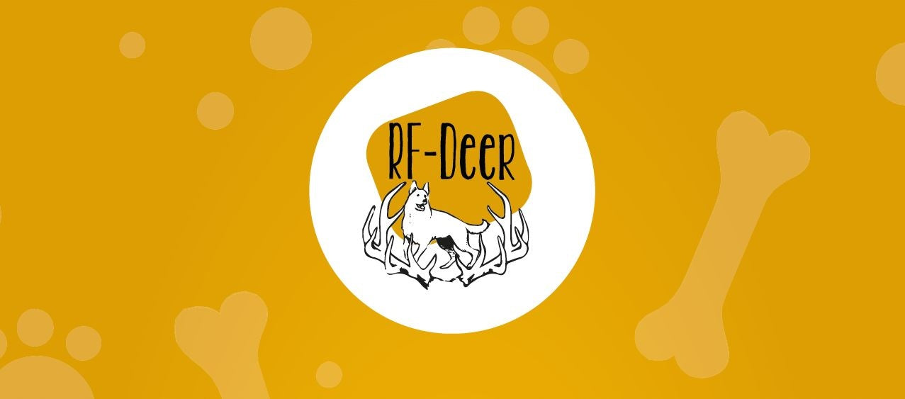 XL kietas elnio ragas 17-19 cm Natūralus kramtalas kramtalai iš ragų elnio ragų šuniui