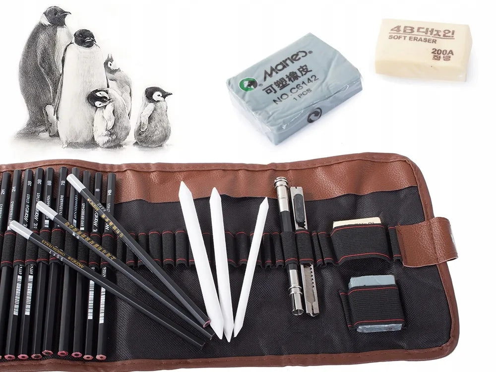 Profesionalus 29in1 eskizavimo ir piešimo rinkinys: anglis, pieštukai, maišytuvai