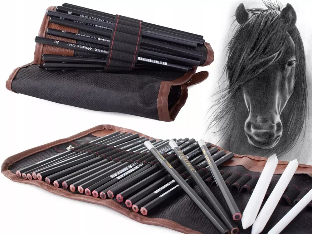 Profesionalus 29in1 eskizavimo ir piešimo rinkinys: anglis, pieštukai, maišytuvai