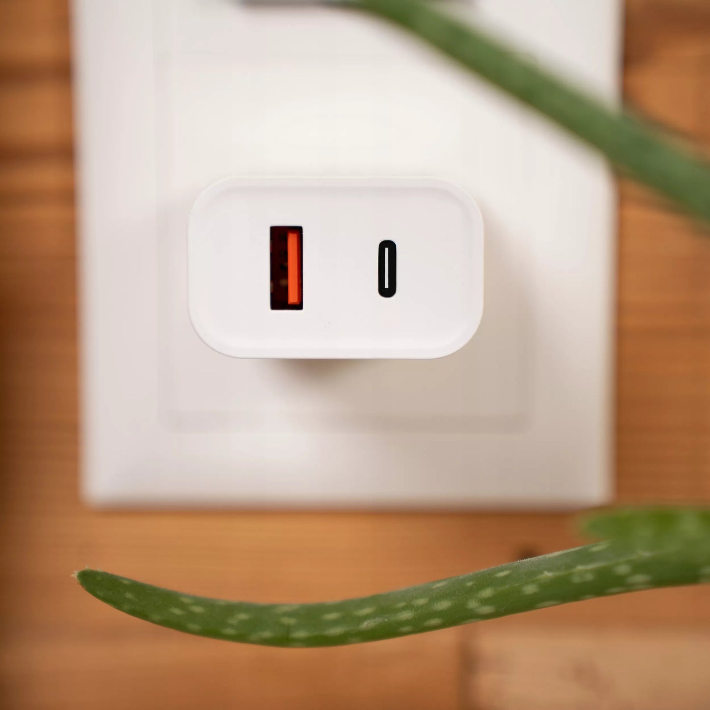 USB-C sieninis kroviklis 20W + Lightning kabelis iPhone