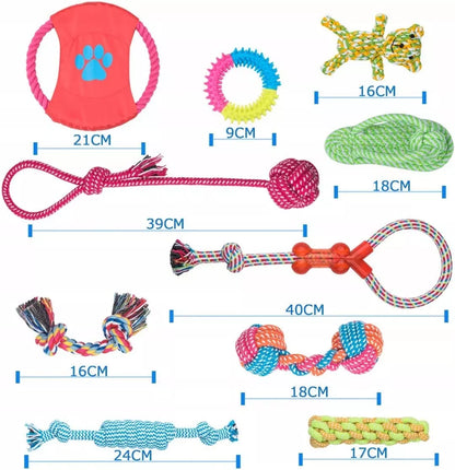 Šunų žaislų rinkinys